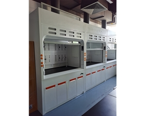 玻璃鋼通風(fēng)柜 實(shí)驗(yàn)室的通風(fēng)柜