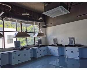 PP邊臺 實(shí)驗(yàn)室設(shè)備實(shí)驗(yàn)臺