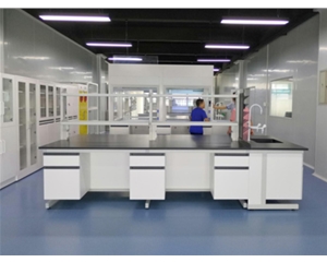鋼木實(shí)驗(yàn)室家具 實(shí)驗(yàn)臺(tái)